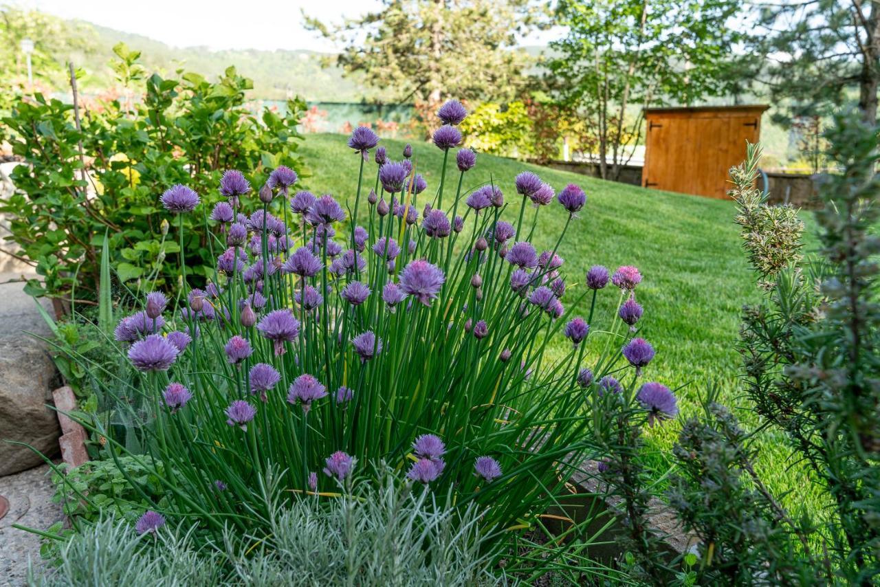 Casa Camporino Poppi Eksteriør billede