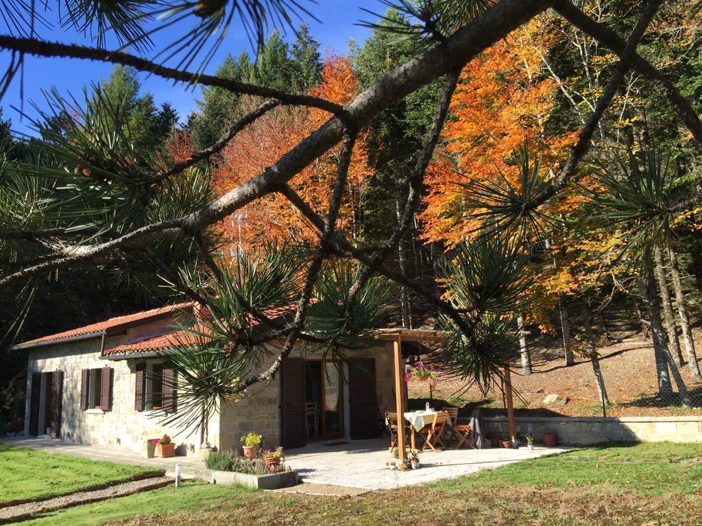 Casa Camporino Poppi Værelse billede