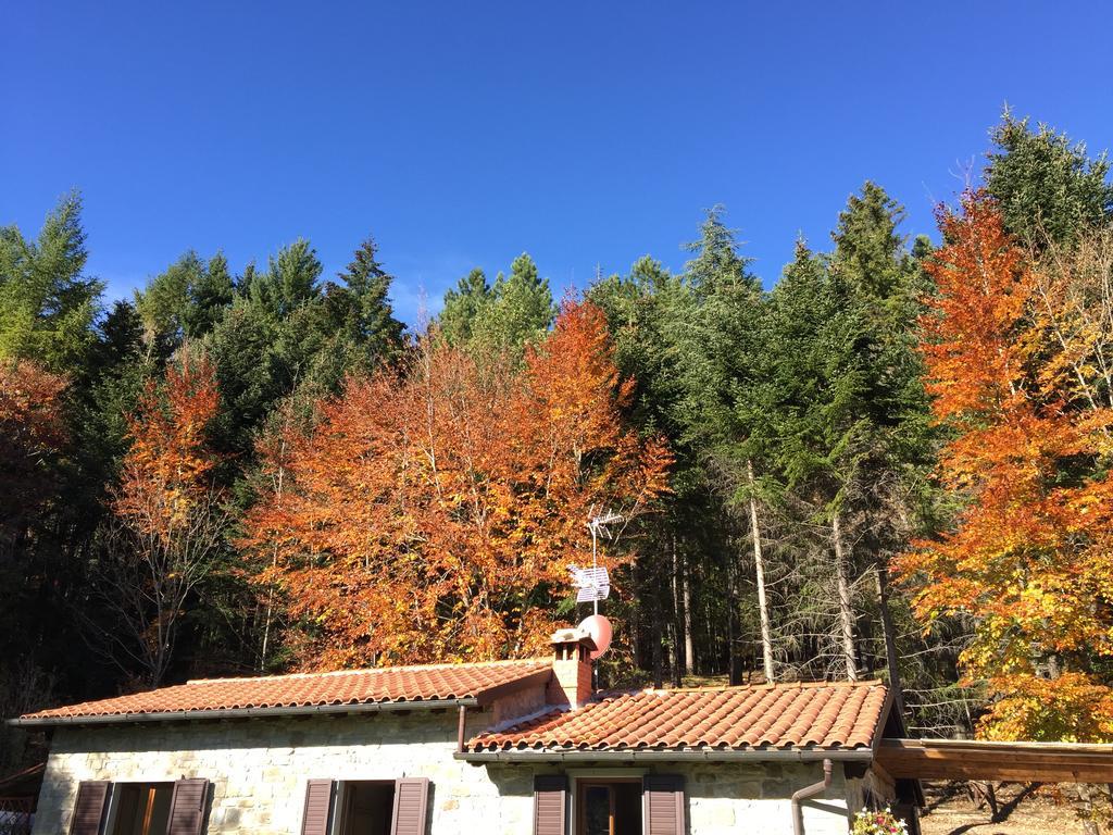 Casa Camporino Poppi Værelse billede